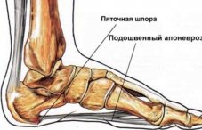Болят ноги в области голени как лечить
