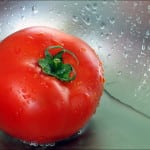 помидоры при подагре