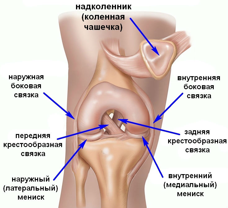 Симптомы и  эффективное лечение воспаления связок коленного сустава лигаментит и лигаментоз