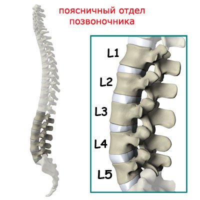 Боль в спине после секса почему она возникает и как ее преодолеть
