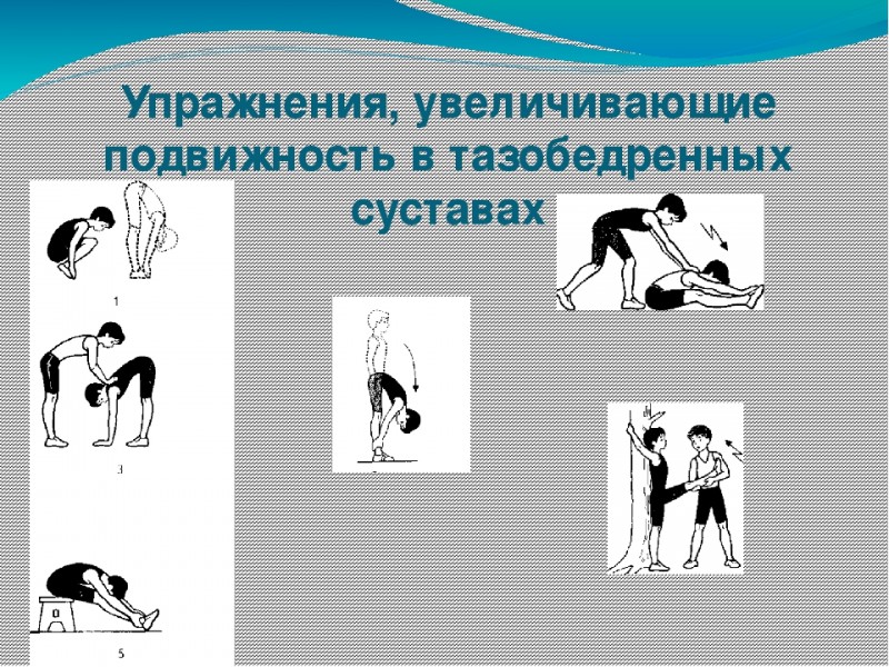 Исцеляющая гимнастика для тазобедренных суставов по Евдокименко