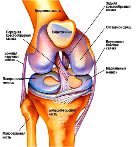 Почему болит колено сбоку с внутренней и внешней стороны